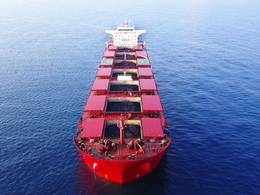 Laden bulk carrier with red hatch covers under way, seen from ahead.